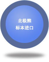 北極熊標(biāo)本進口