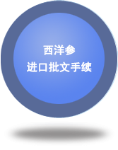 西洋參進口批文手續(xù)